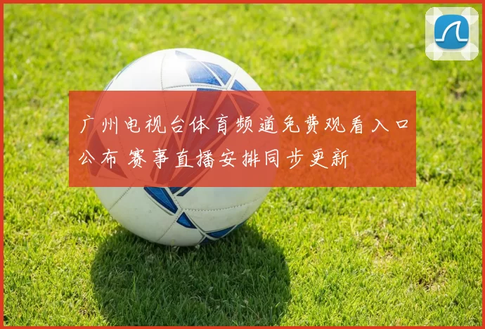 广州电视台体育频道免费观看入口公布 赛事直播安排同步更新