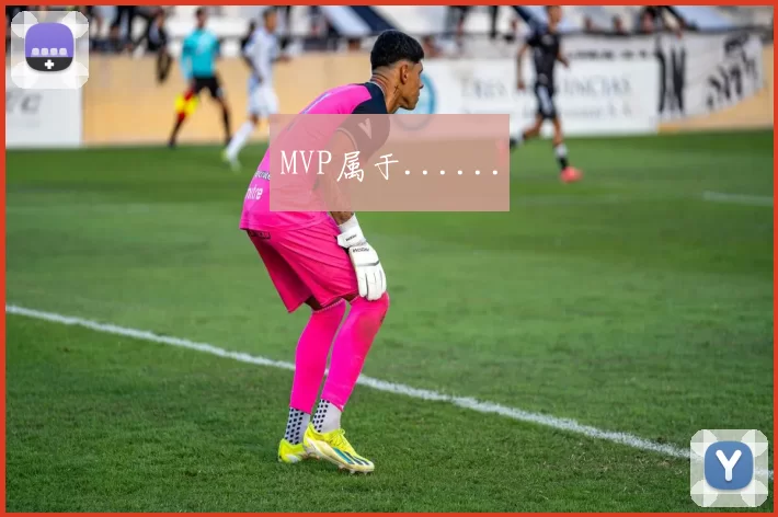 MVP属于......