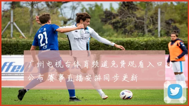 广州电视台体育频道免费观看入口公布 赛事直播安排同步更新